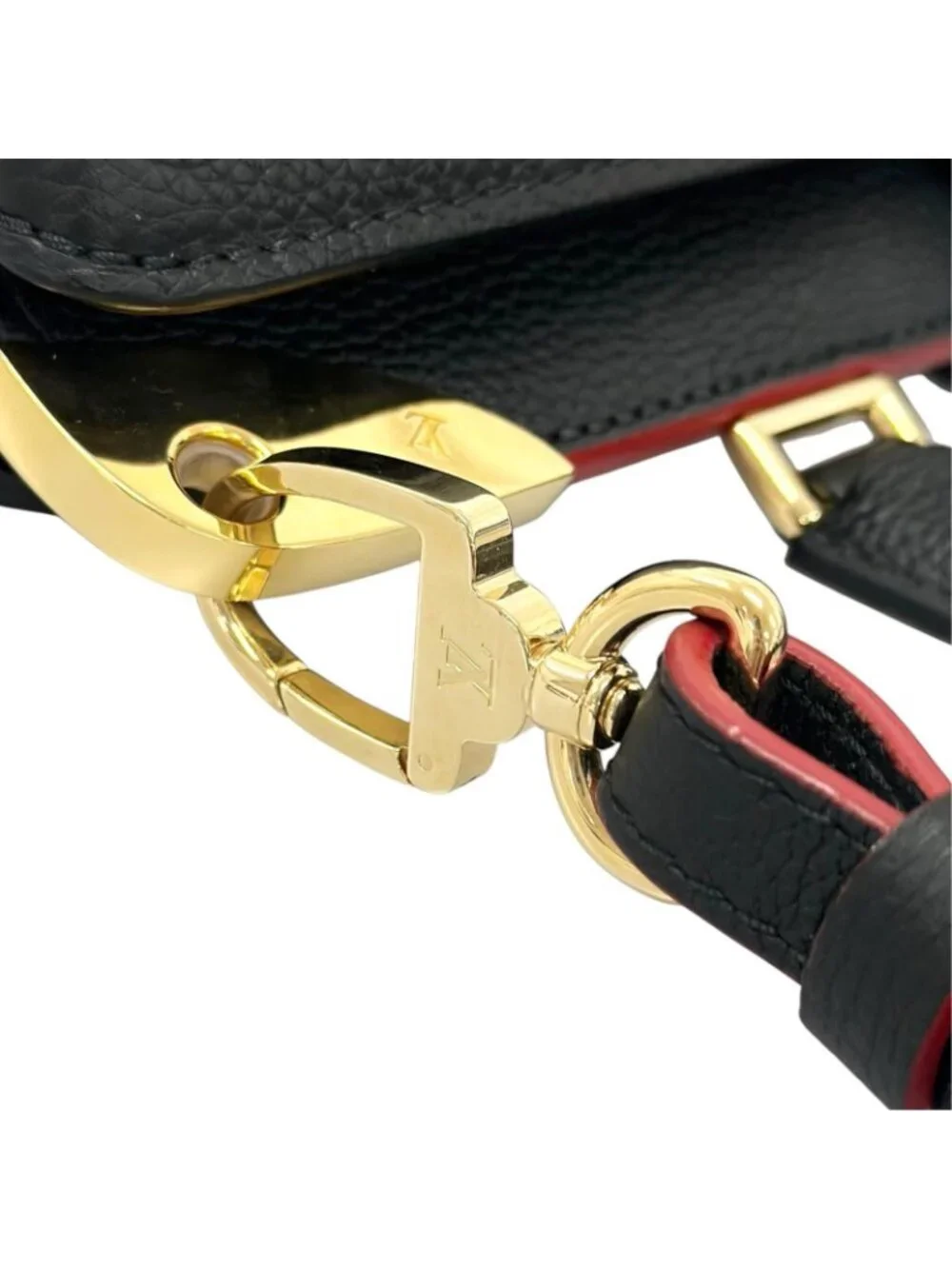 Louis Vuitton brand louis